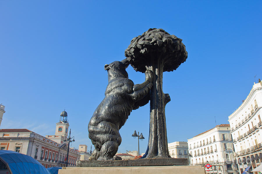 Bear with Strawberry Tree in Madrid, Spain Photograph by Anastasy ...