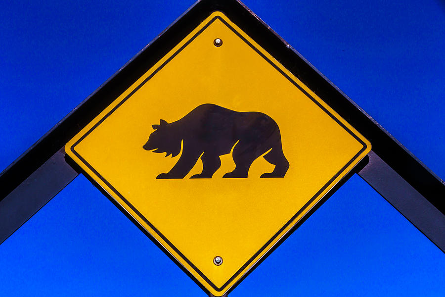 Bear Xing Sign Photograph by Garry Gay