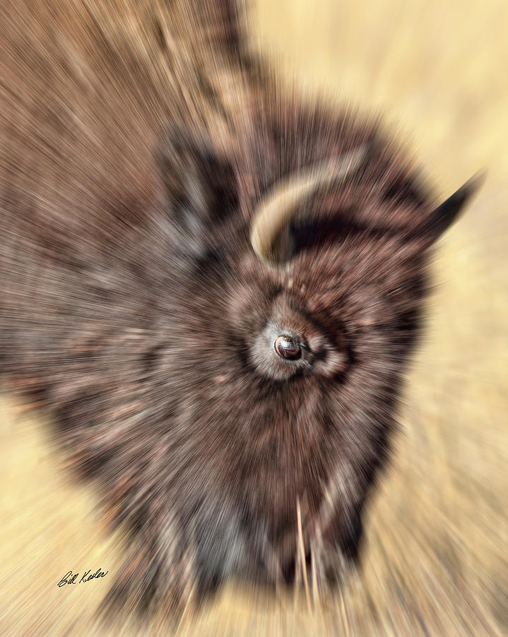 Beard With Burs - Motion Photograph by Bill Kesler