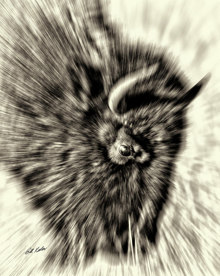 Beard With Burs - Motion - Black-and-White Photograph by Bill Kesler