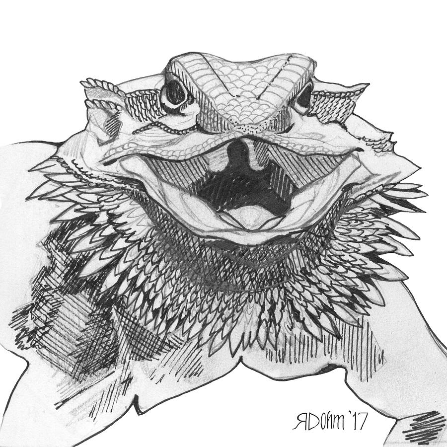 Bearded Dragon Drawing by Regan Dohm