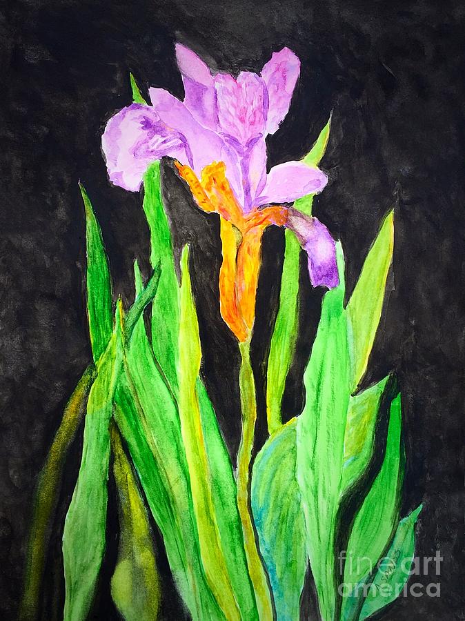 Bearded Iris Painting by Anne Sands