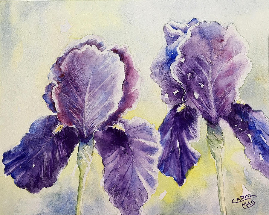 Bearded Iris Painting by Art by Carol May - Pixels
