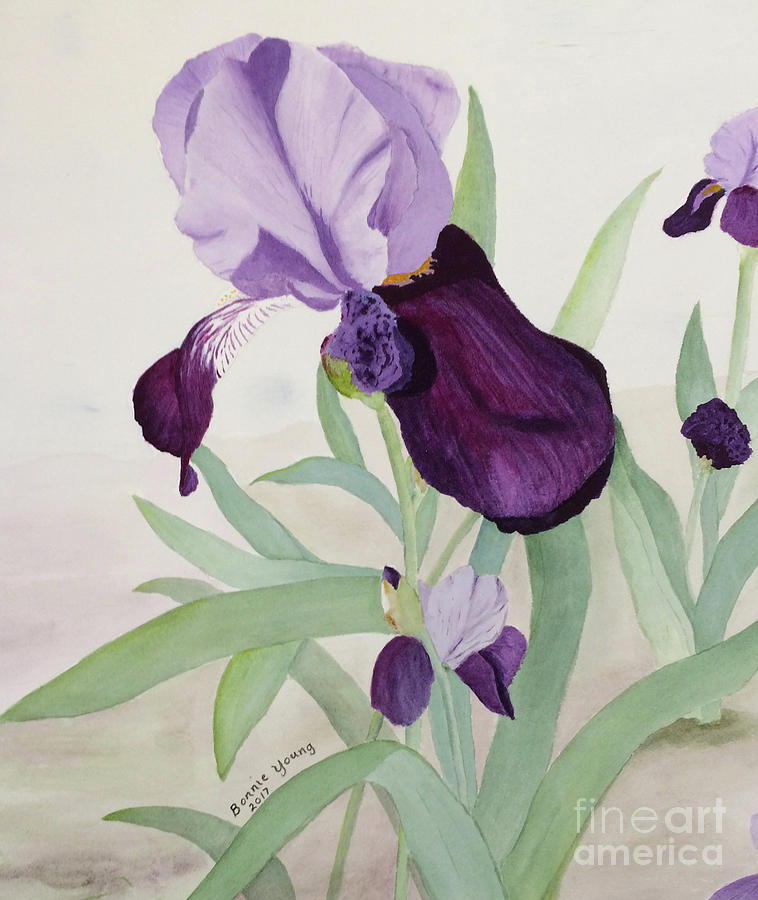 Bearded Iris Painting by Bonnie Young