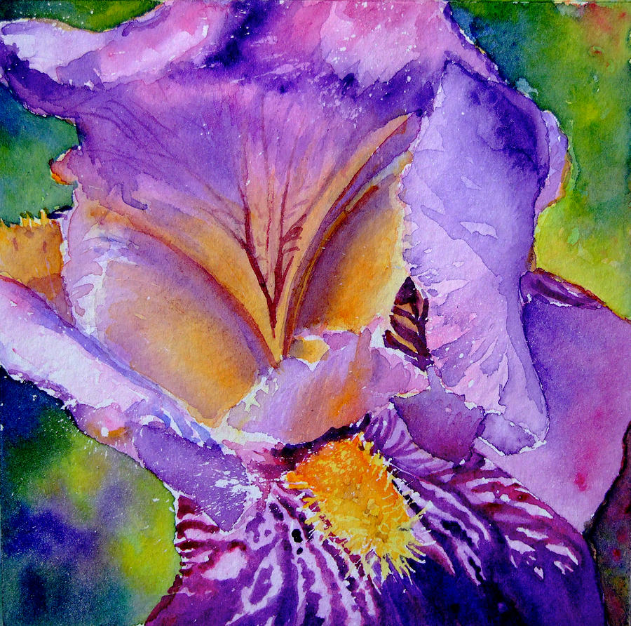 Iris Painting - Bearded Iris by Ruth Harris