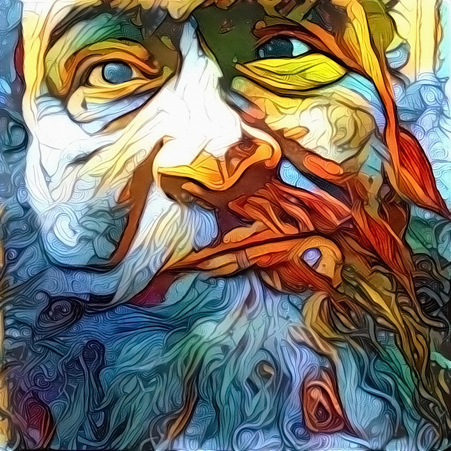 Bearded Mans Face Digital Art by Bruce Rolff