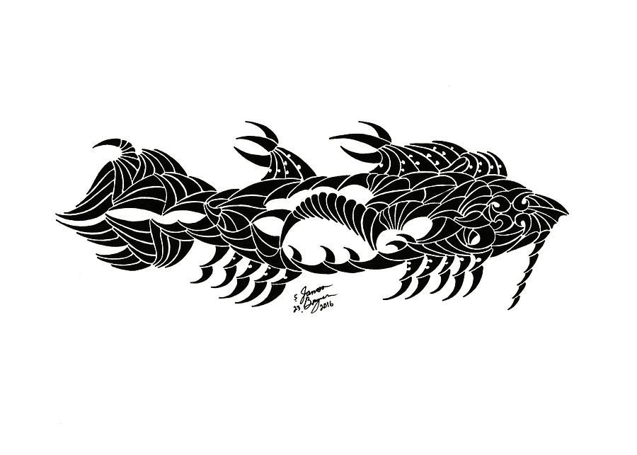 Bearded Spikefish ink drawing Drawing by James Bogner - Pixels