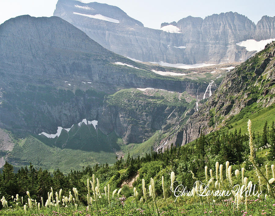 Beargrass in Glacier National Park Photograph by Chris Wells - Fine Art ...