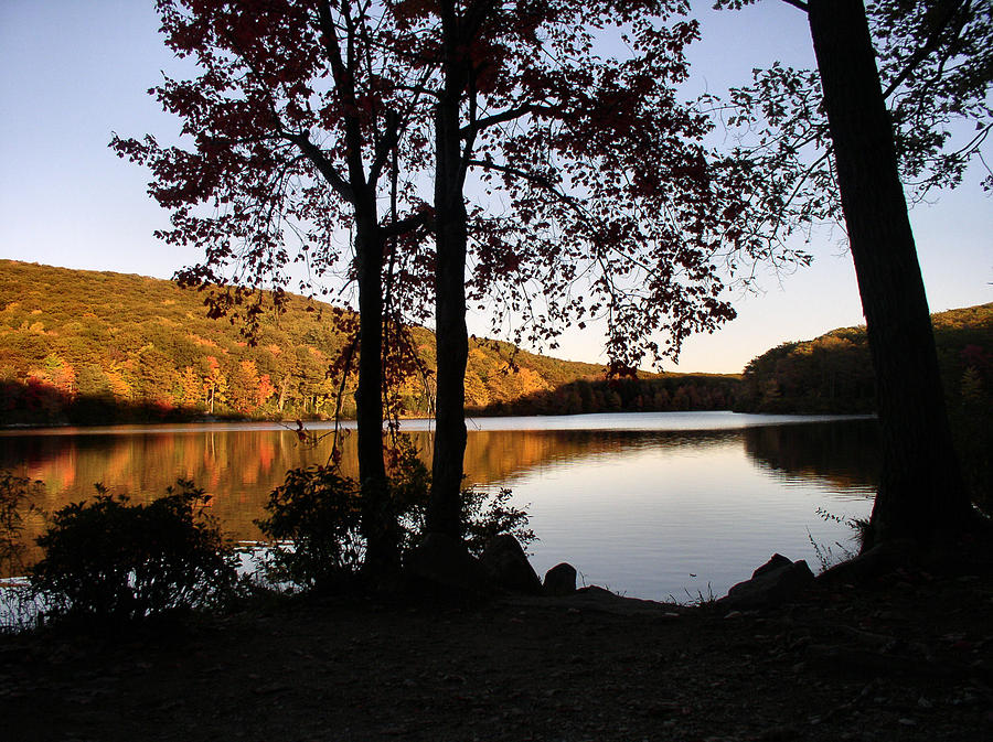 Escape to the Wild: Beartown State Forest, Massachusetts