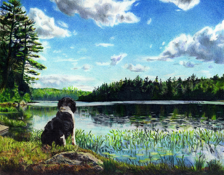 Beasley on Black Pond Drawing by Shana Rowe Jackson