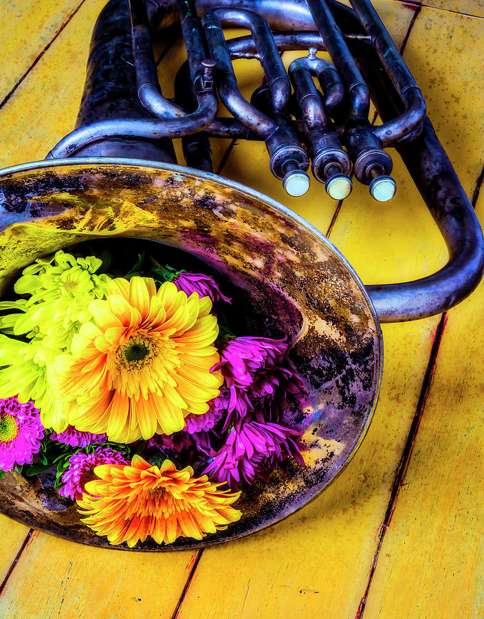 Beat Up Horn And Bouquet Photograph by Garry Gay