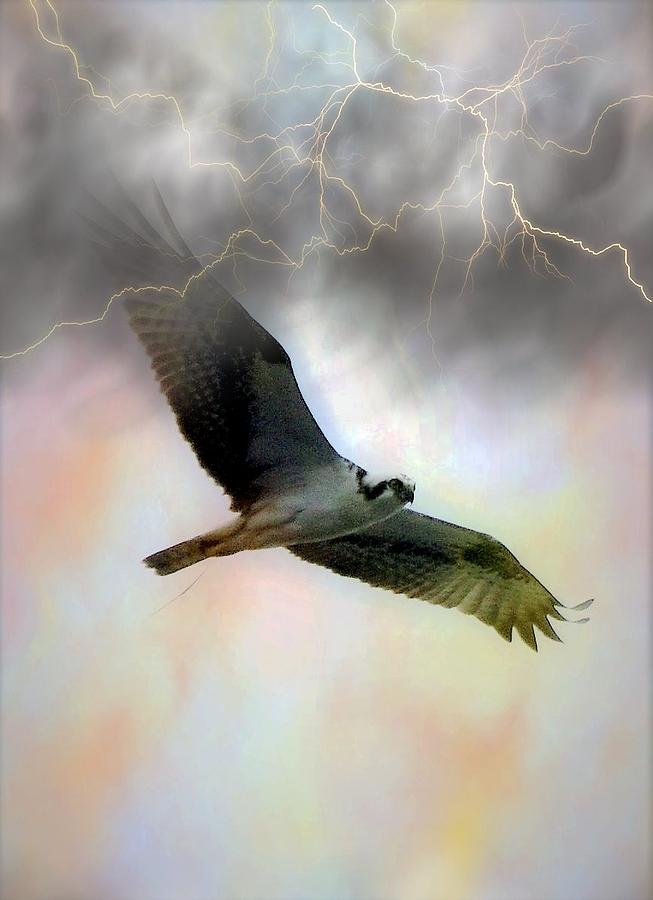 Beating the Storm 2 Digital Art by Charles HALL