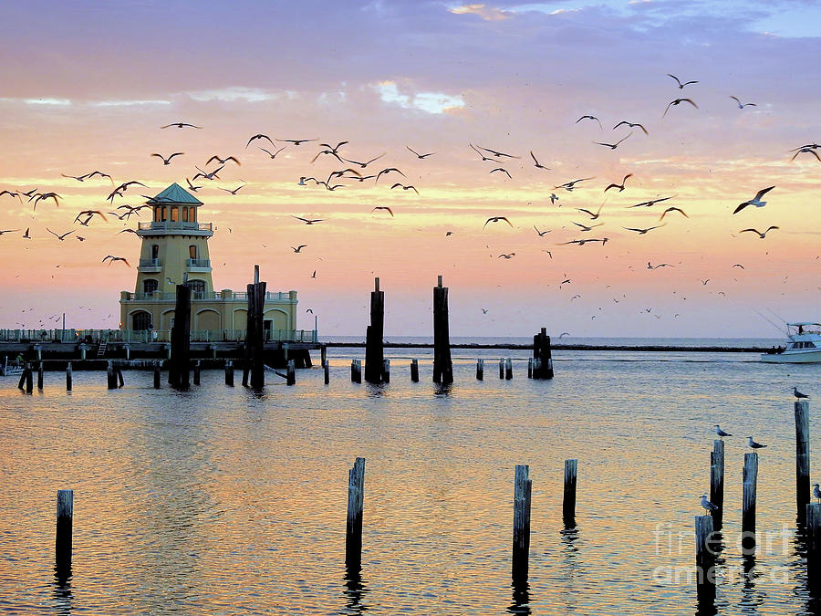 Beau Rivage Marina and Lighthouse Photograph by Scott Cameron