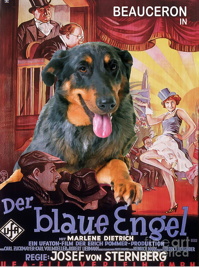 Beauceron Art Canvas Print - The Blue Angel Movie Poster Painting by Sandra Sij