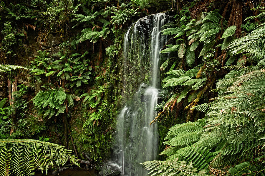 Beauchamp Waterfall Photograph by Catherine Reading