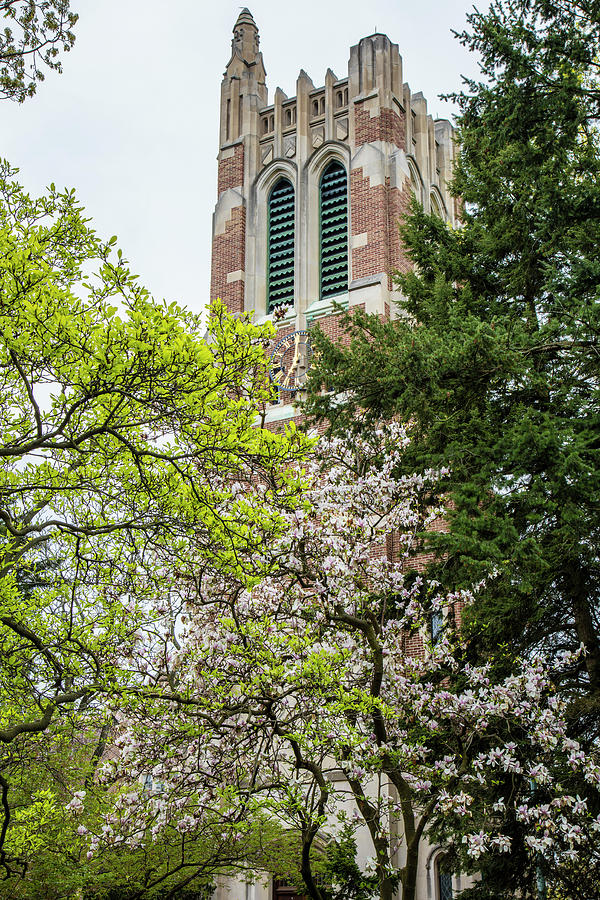 Beaumont Tower in Spring with Trees Photograph by John McGraw