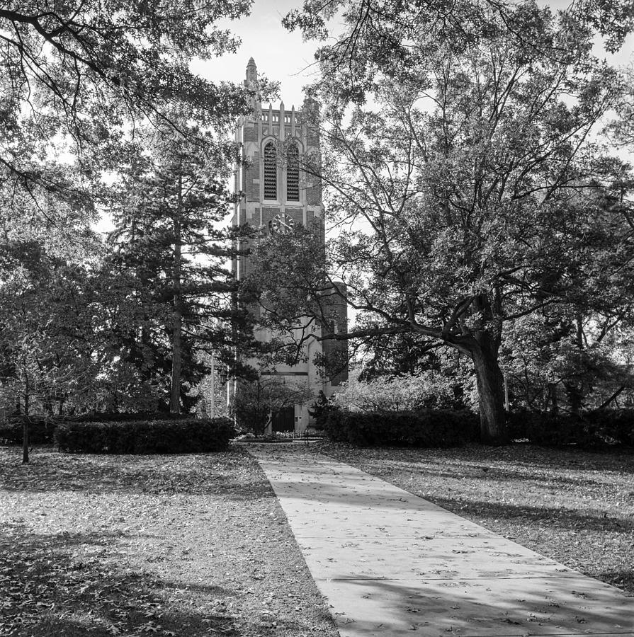 Beaumont Tower Photograph by Larry Carr