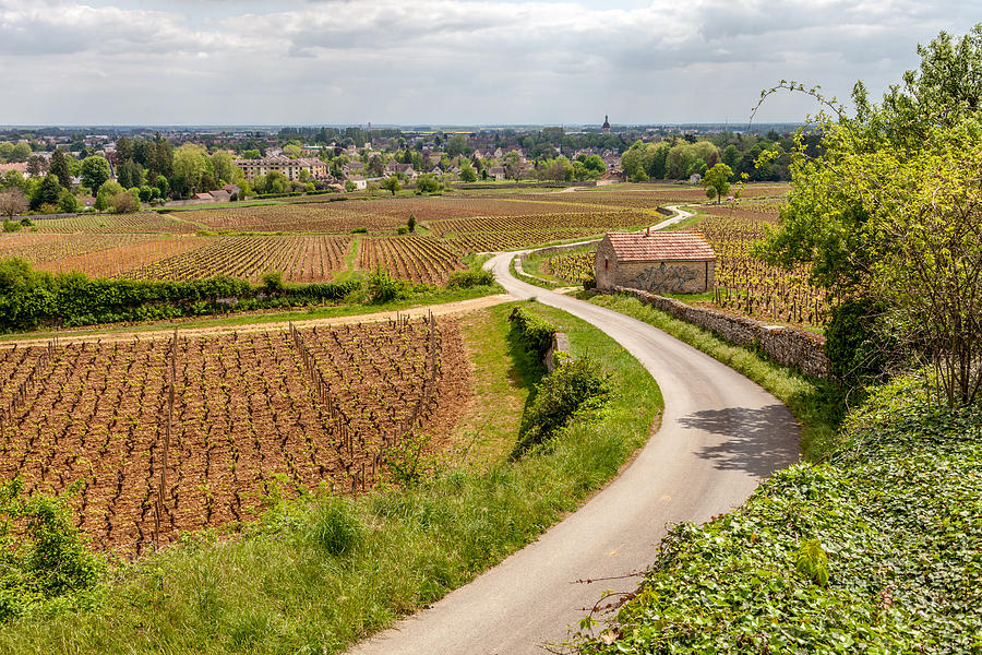Beaune France from the Vineyards Photograph by W Chris Fooshee