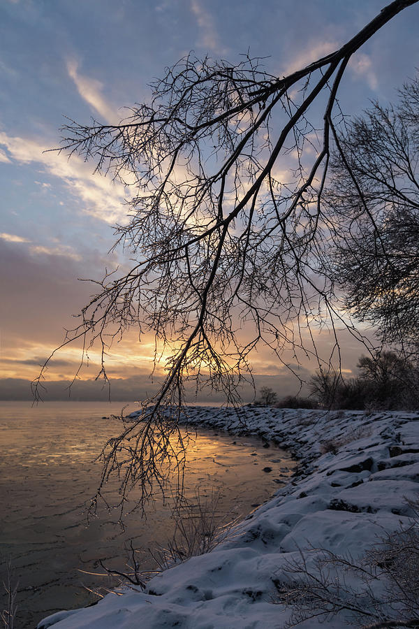 Beautiful Aftermath of an Ice Storm - Sunrise Through Frozen Branches Photograph by Georgia Mizuleva