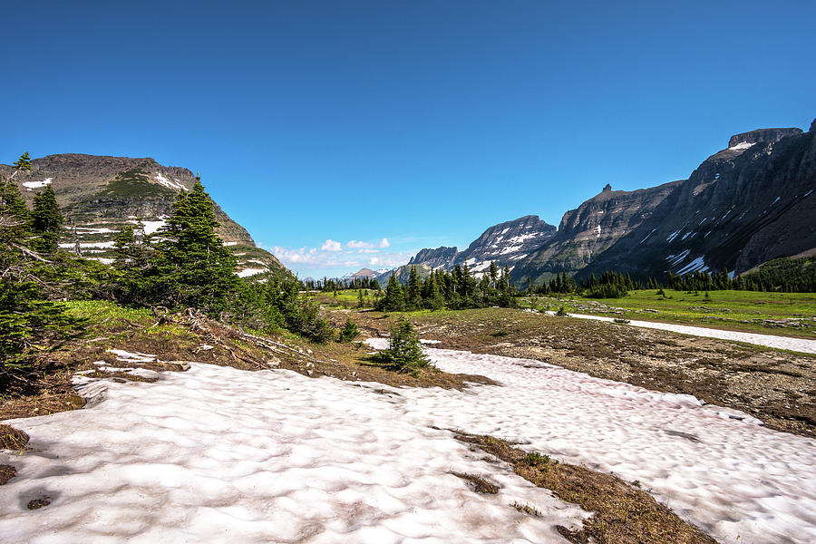 Beautiful Alpine Meadow Photograph by Yeates Photography