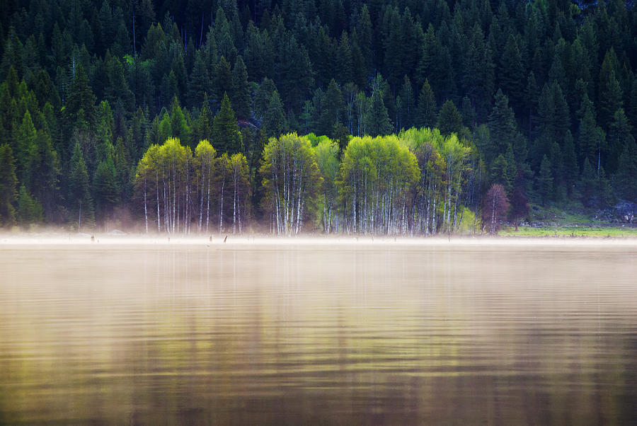 Beautiful and serene scene at a lake in McCall Idaho Photograph by ...