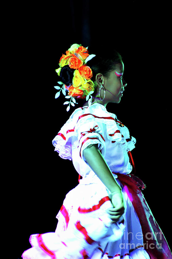 Beautiful Andalucian Dancer Photograph by Al Bourassa
