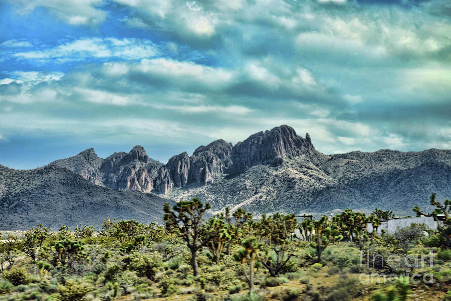 Beautiful Arizona Landscape Photograph by Reese Lewis - Fine Art America