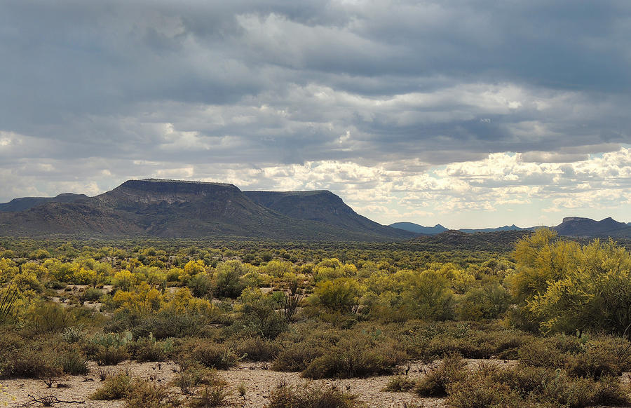 Beautiful Arizona Vista Photograph by Gordon Beck