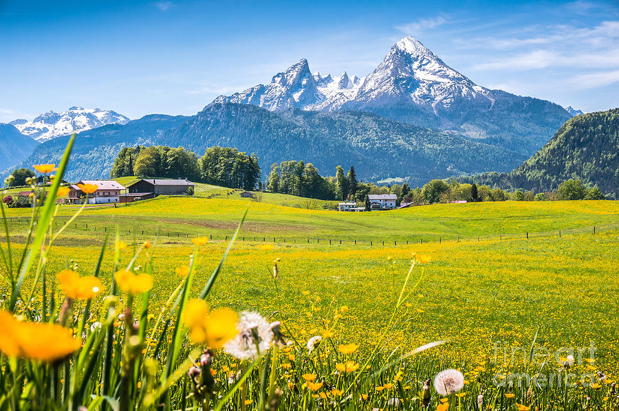 Beautiful Austrian mountain landscape with flowers and idyllic farm houses Photograph by JR Photography
