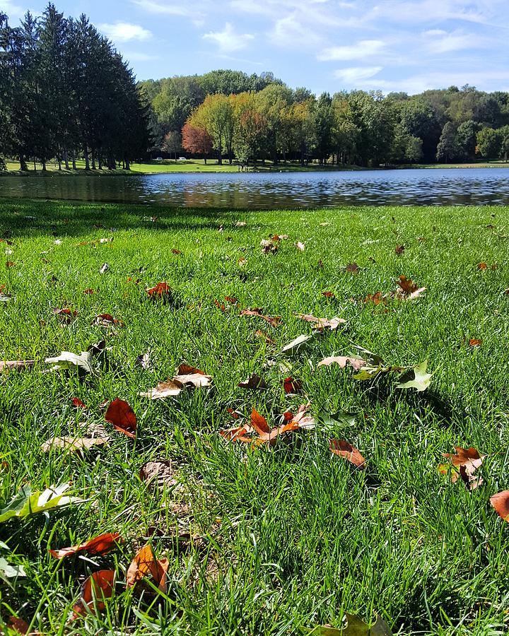 Landscape Photograph - Beautiful autumn 2 by Yazid Ismail Landscape Photograph - Beautiful autumn 2 by Yazid Ismail