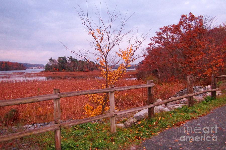 Fall Photograph - Beautiful Autumn by John Malone