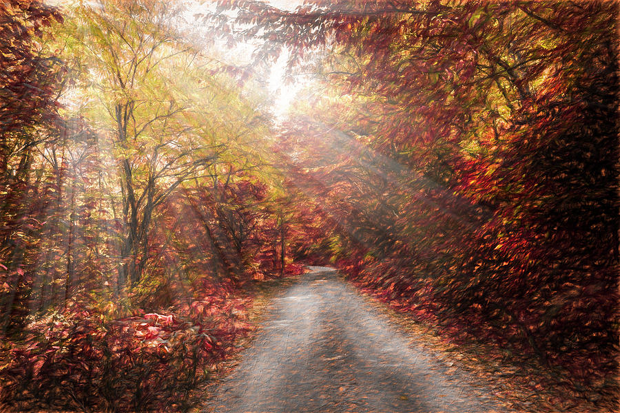 Beautiful Autumn Trail Painting Photograph by Debra and Dave Vanderlaan