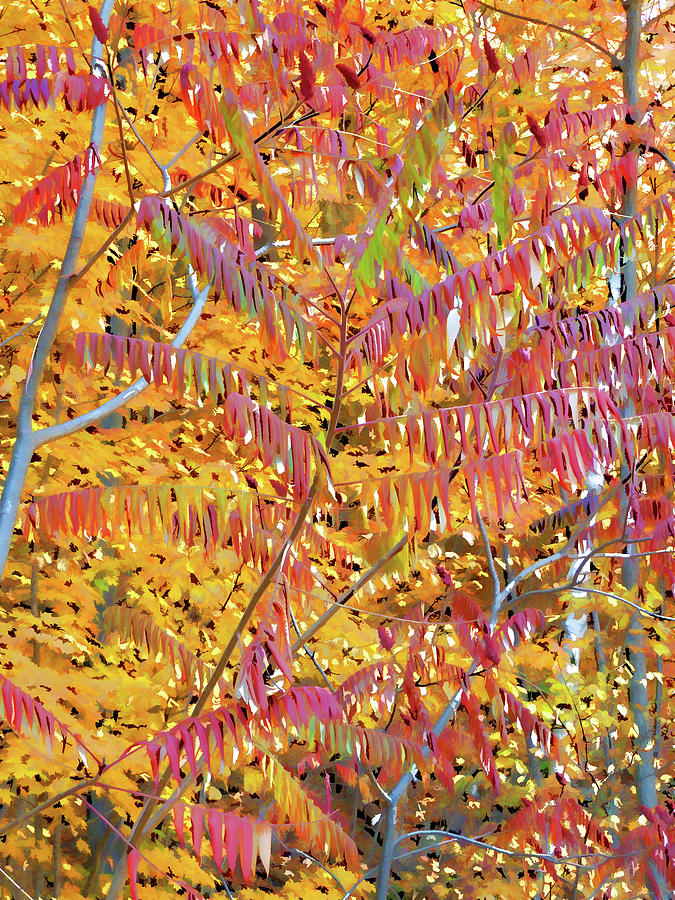 Beautiful autumn tree Painting by Jeelan Clark