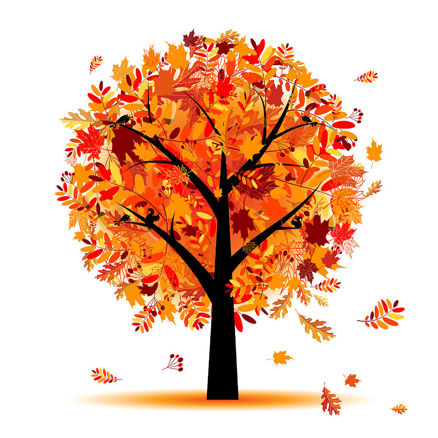 81,711 Autumn Tree Sketch Images, Stock Photos & Vectors | Shutterstock