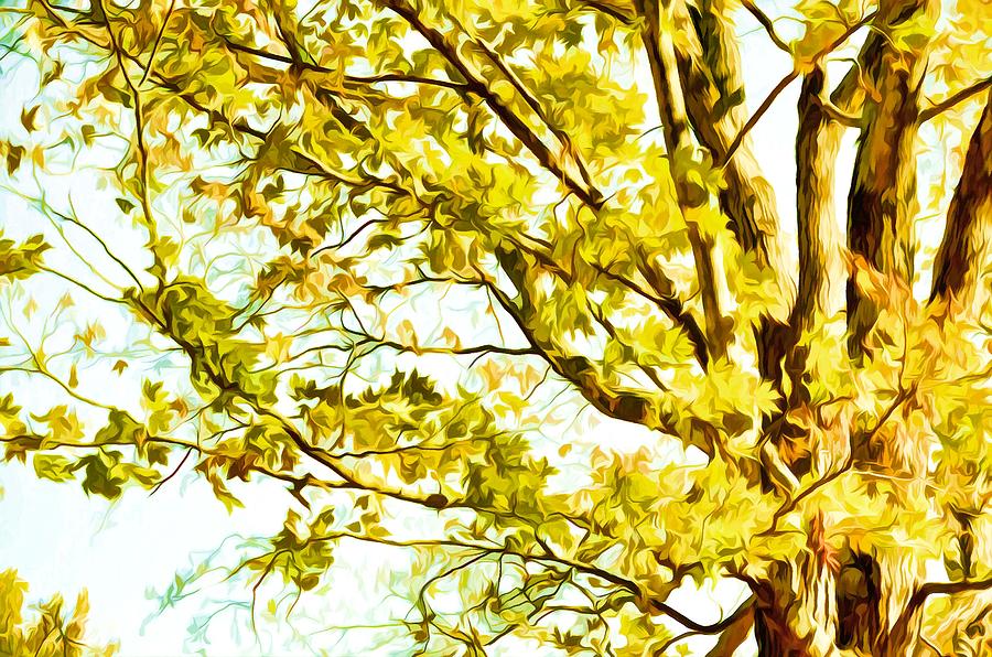Fall Painting - Beautiful Autumn Trees 1 by Jeelan Clark