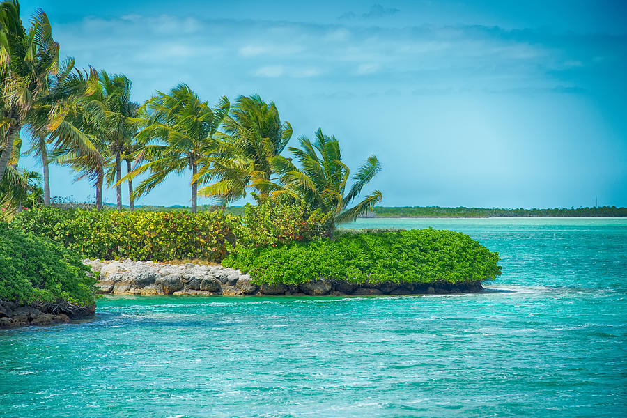Beautiful Beach And Ocean Scenes In Florida Keys Photograph by Alex Grichenko