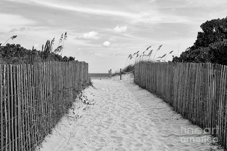 Beautiful Beach Day - Black and White Photograph by Carol Groenen