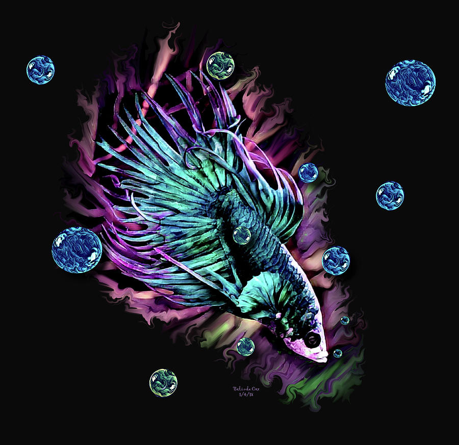 Beautiful Beta Fish Digital Art by Artful Oasis