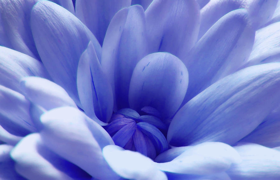 Beautiful Blue 2 Photograph by Johanna Hurmerinta