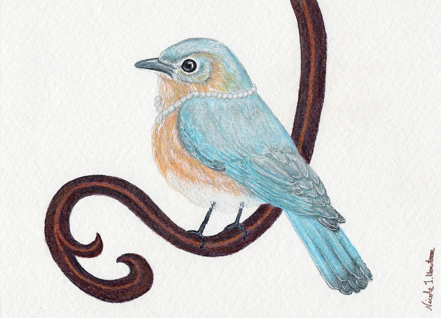 Beautiful Bluebird Drawing by Nicole I Hamilton