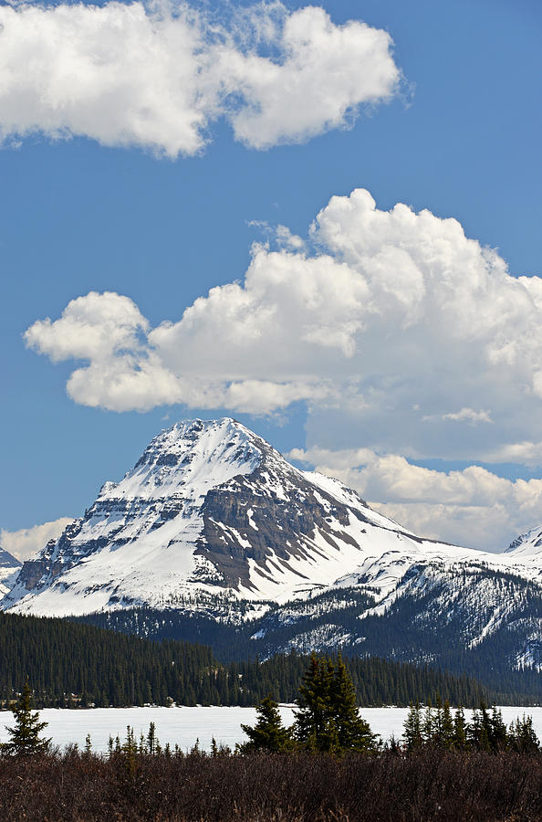 Banff National Park Photograph - Beautiful Bow Lake by Ginny Barklow