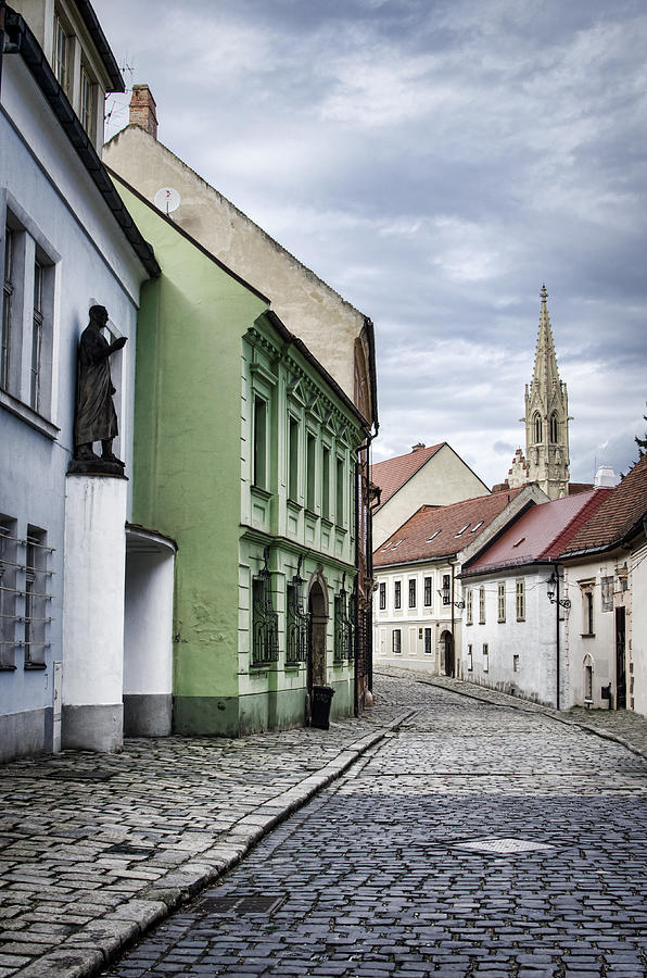 Beautiful Bratislava Photograph by Heather Applegate