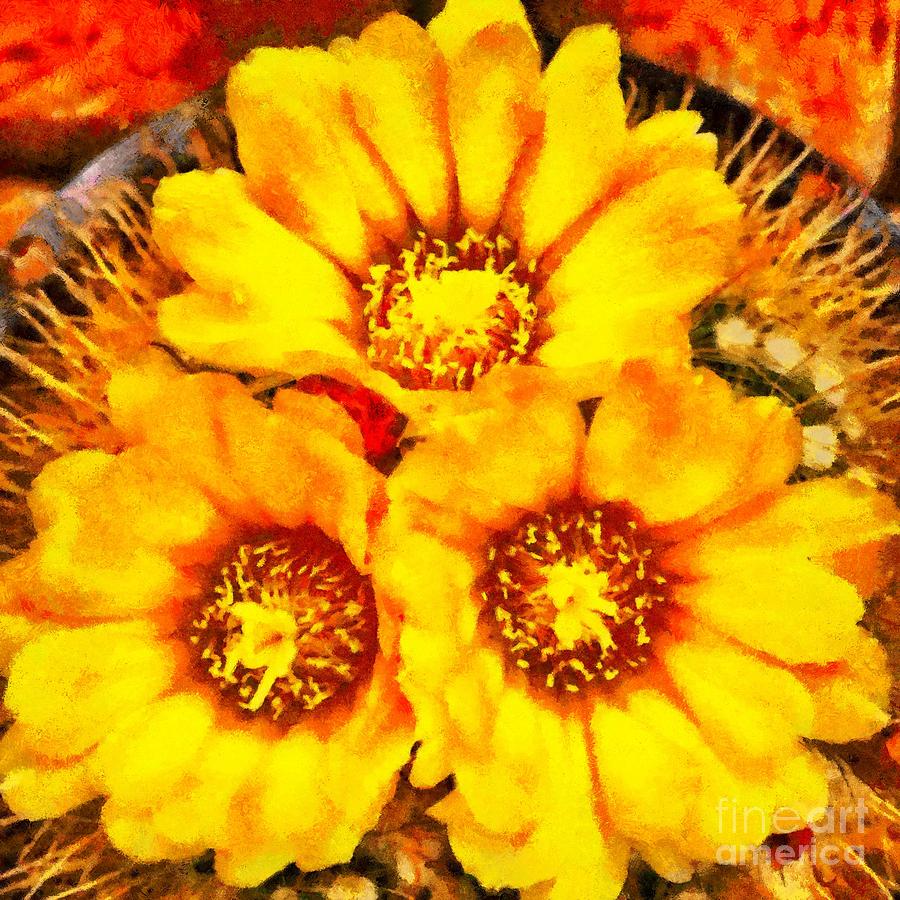 Beautiful bright yellow flowers Photograph by Ashish Agarwal