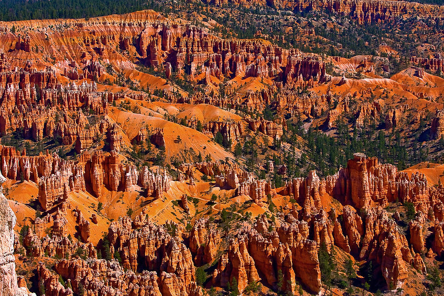 Beautiful Bryce Canyon Photograph by James BO Insogna