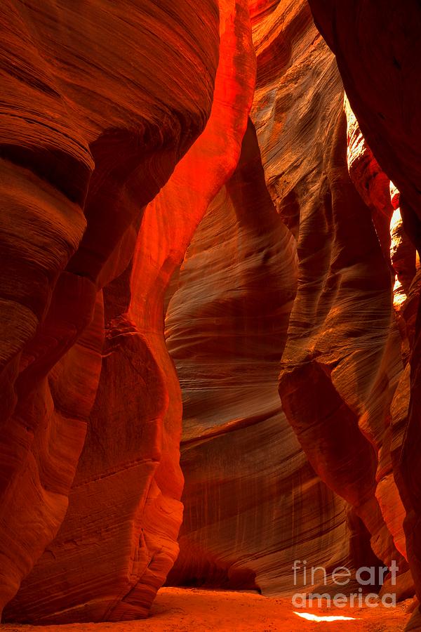 Slot Canyon Photograph - Beautiful Buckskin by Adam Jewell