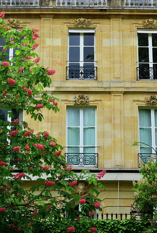 Beautiful Building In Bordeaux Photograph