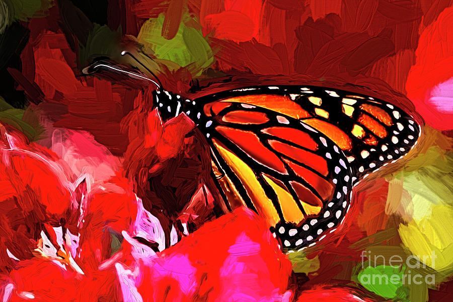 Monarch With Red Flowers Photograph by Edita De Lima - Fine Art America