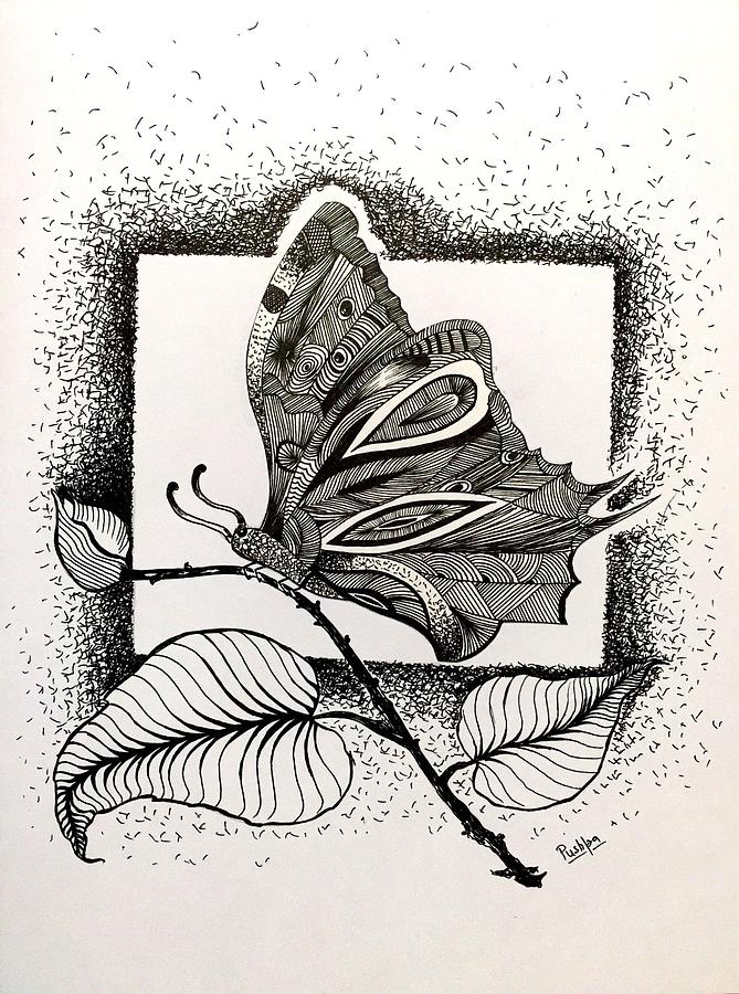 Beautiful Butterfly Drawing Sketch Illustration Stock Illustration  1996777547 | Shutterstock