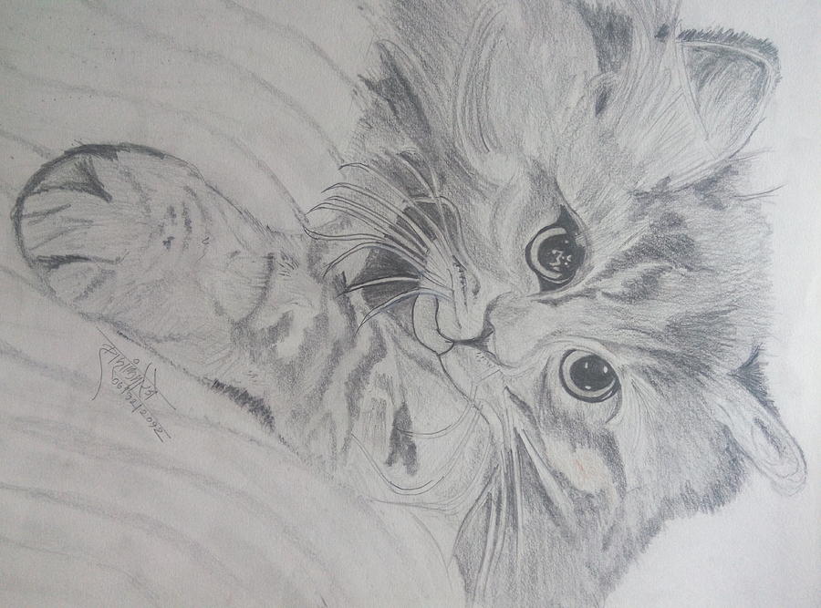 Cat Drawing Easy - Step by step Pencil Sketch for beginners || How to draw  a cute cat - YouTube