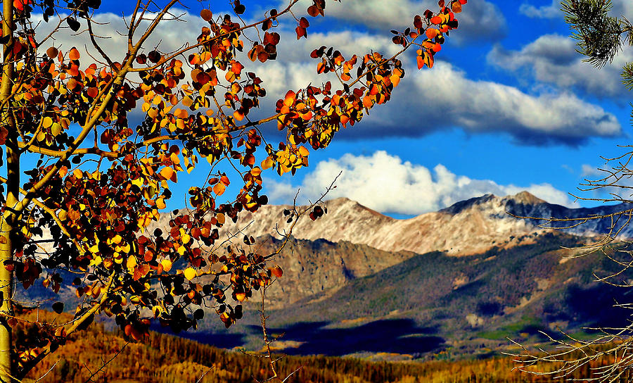 Beautiful Colorado Photograph by Ellen Heaverlo